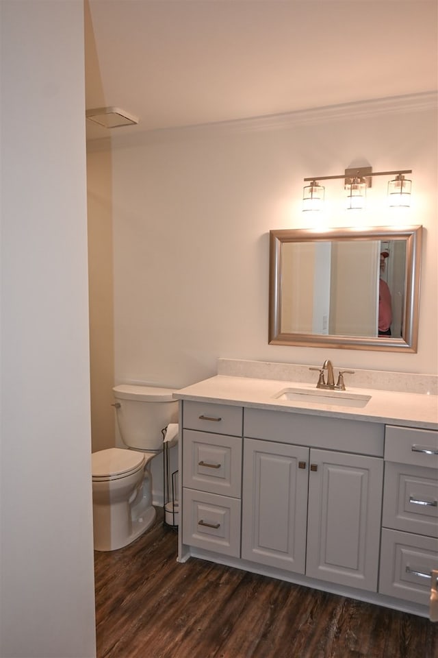 bathroom featuring toilet, wood finished floors, and vanity