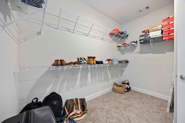 spacious closet featuring carpet floors