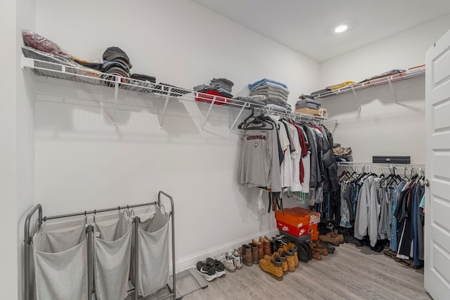 spacious closet with hardwood / wood-style flooring