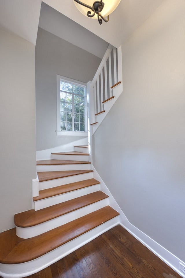 staircase with hardwood / wood-style floors