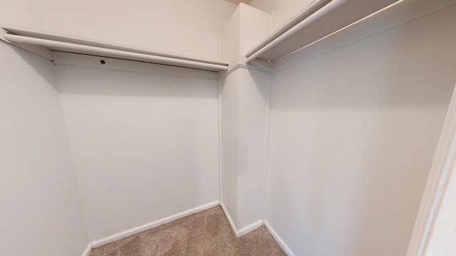 5318 Misty Ln, Columbus, GA 31909 - photo 25