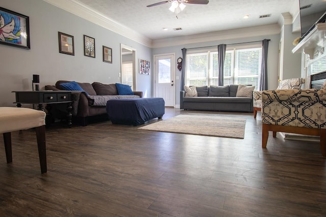 7265 E Wynfield Loop, Midland, GA 31820 - living room with ornamental molding, ceiling fan, dark wood-style floors, and a textured ceiling