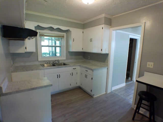 kitchen featuring wood-type flooring, white cabinetry, ornamental molding, and sink