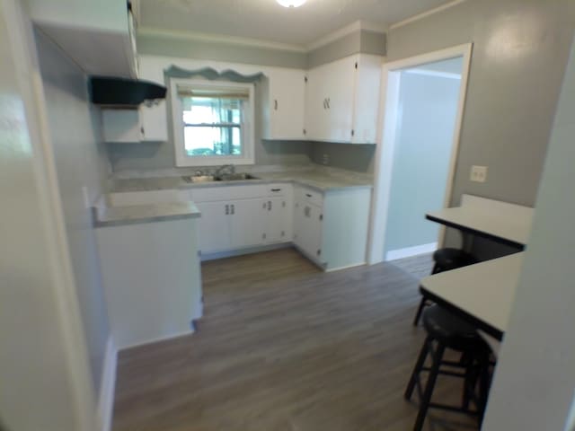 kitchen featuring white cabinets, dark hardwood / wood-style floors, ornamental molding, and sink