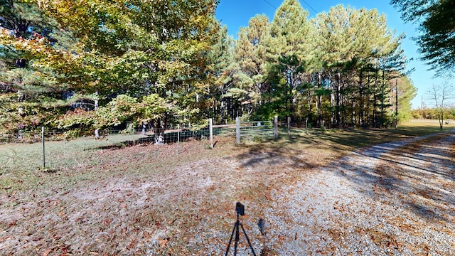 8965 Tuck Persons Hwy, Waverly Hall, GA 31831 - photo 52