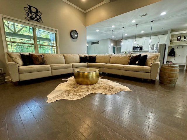 living room featuring a high ceiling and dark hardwood / wood-style floors