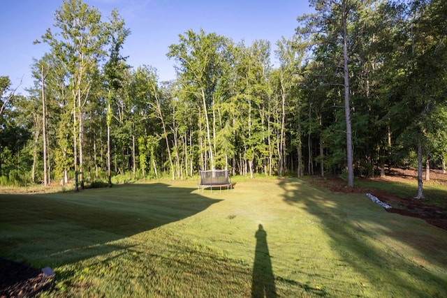 10312 Emerson Way, Midland, GA 31822 - view of green lawn with a trampoline and a view of trees