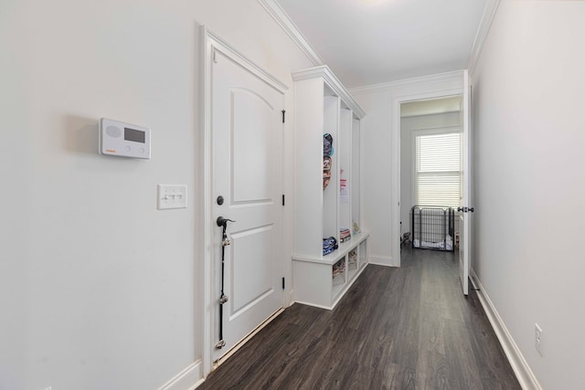 10312 Emerson Way, Midland, GA 31822 - mudroom featuring dark wood-style flooring and crown molding