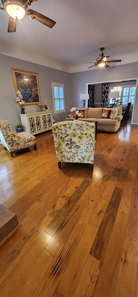 7400 Standing Boy Rd, Columbus, GA 31904 - living room with ceiling fan, wood-type flooring, and crown molding