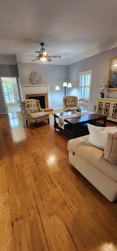7400 Standing Boy Rd, Columbus, GA 31904 - living room featuring ceiling fan, hardwood / wood-style flooring, a fireplace with raised hearth, plenty of natural light, and ornamental molding