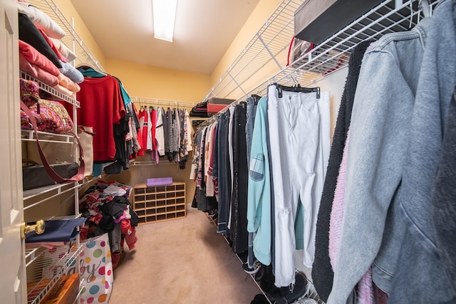 walk in closet featuring carpet flooring