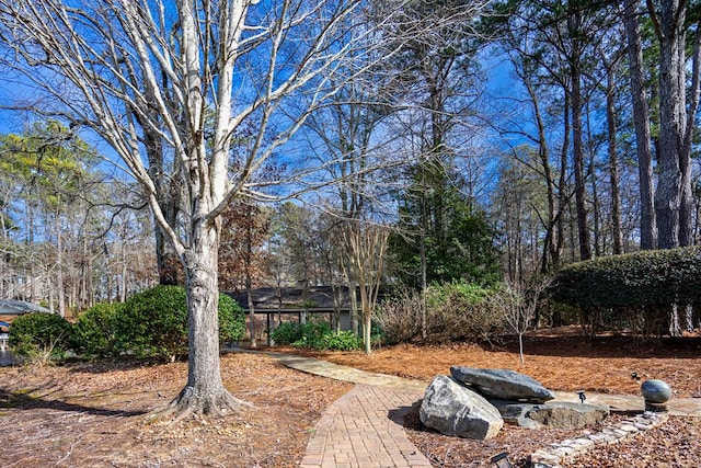 2547 Piedmont Lake Rd, Pine Mountain, GA 31822 - photo 65