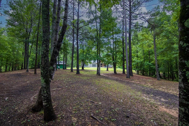 299 Savior Ln, Hamilton, GA 31811 - view of yard