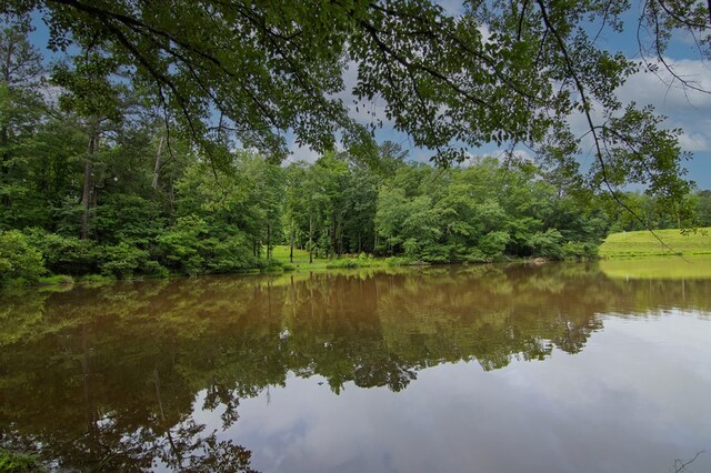 299 Savior Ln, Hamilton, GA 31811 - water view featuring a forest