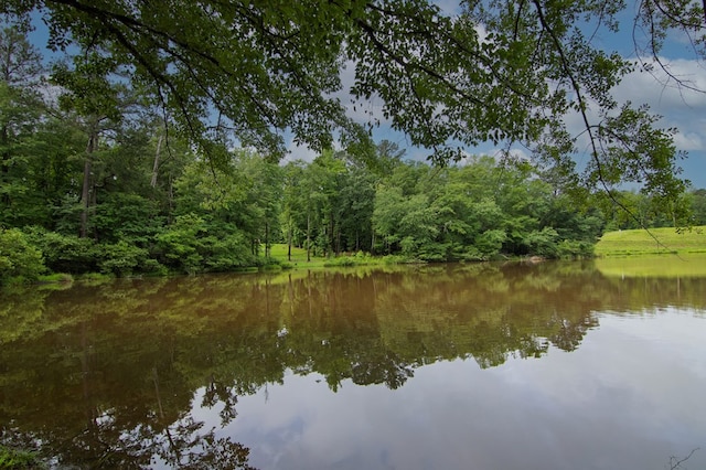 299 Savior Ln, Hamilton, GA 31811 - water view featuring a forest