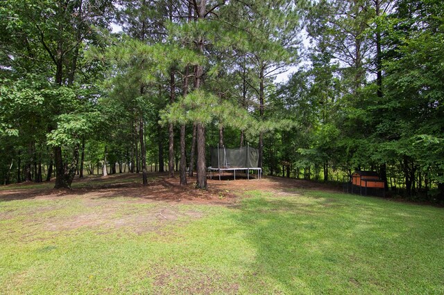 299 Savior Ln, Hamilton, GA 31811 - view of green lawn with a trampoline and a storage unit