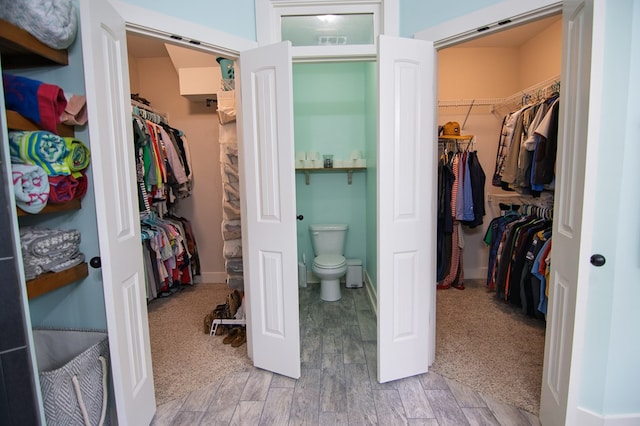 299 Savior Ln, Hamilton, GA 31811 - view of walk in closet