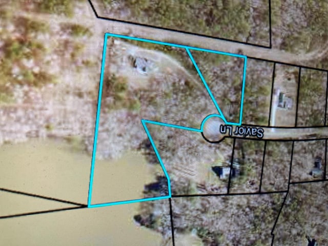 299 Savior Ln, Hamilton, GA 31811 - map / location featuring property parcel outlined