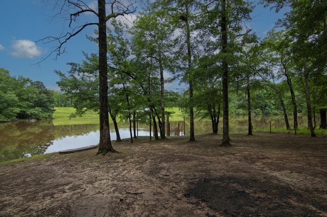 299 Savior Ln, Hamilton, GA 31811 - water view