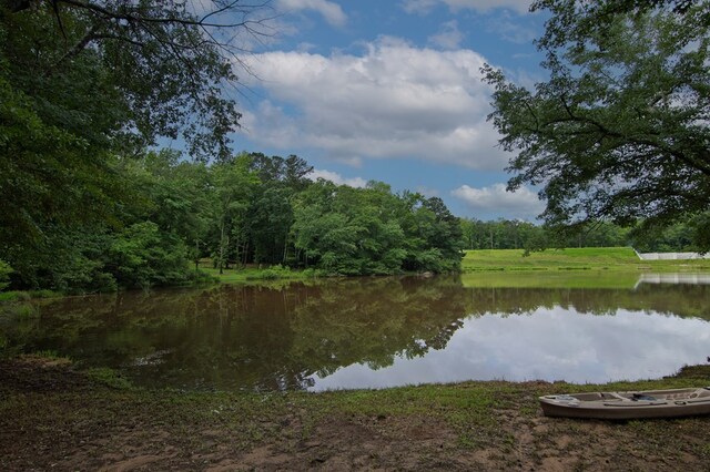299 Savior Ln, Hamilton, GA 31811 - water view featuring a heavily wooded area