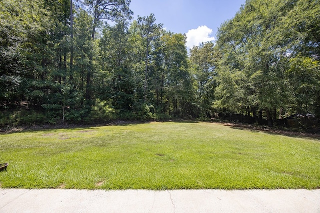 1042 King Place Dr, Columbus, GA 31904 - photo 29
