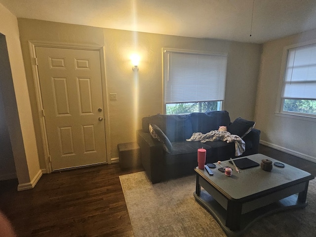 living room featuring dark hardwood / wood-style flooring