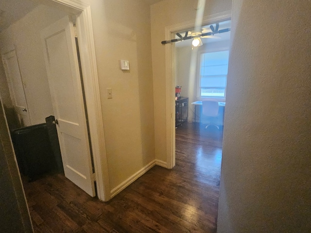 corridor featuring dark hardwood / wood-style flooring