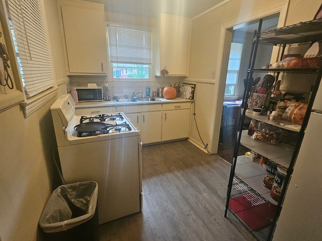 kitchen featuring dark hardwood / wood-style flooring, a wealth of natural light, sink, and white range