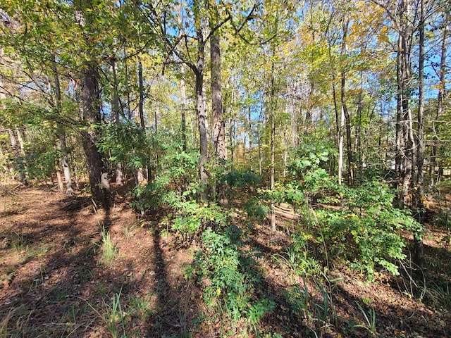 Listing photo 2 for LOT3B Cherry Dr, Waverly Hall GA 31831