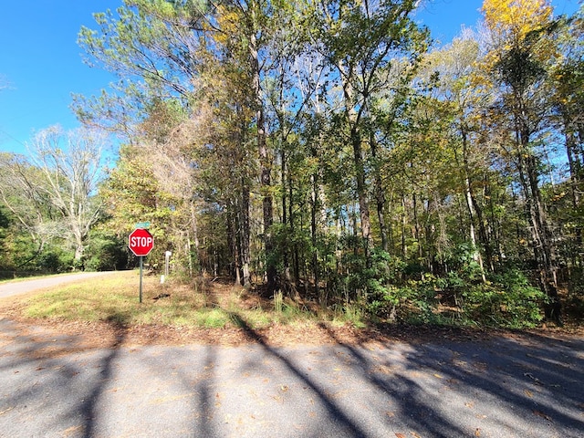 Listing photo 3 for LOT3B Cherry Dr, Waverly Hall GA 31831