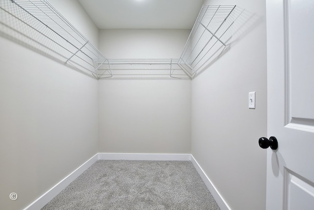 3707 Maryland Cir, Columbus, GA 31907 - photo 9