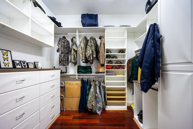 walk in closet featuring dark hardwood / wood-style floors