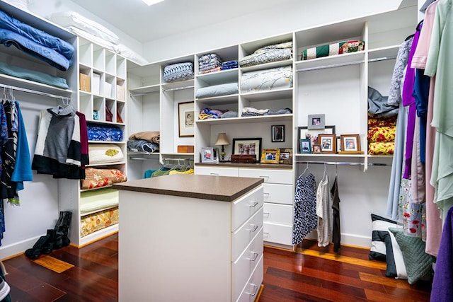 spacious closet featuring dark wood-type flooring