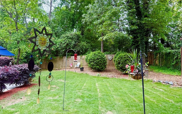 4212 Canady St, Columbus, GA 31909 - view of yard