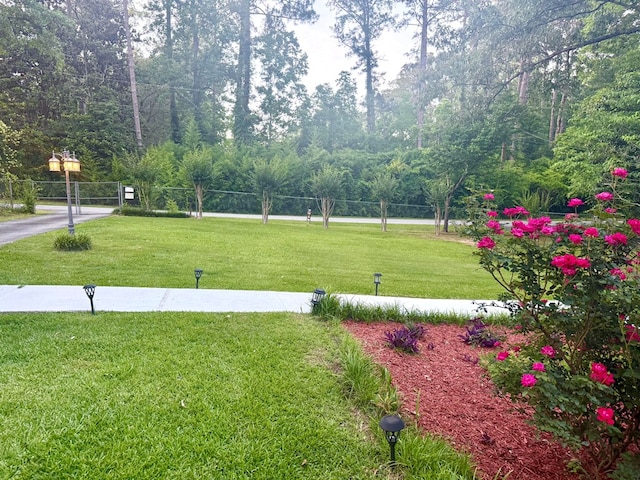 4212 Canady St, Columbus, GA 31909 - view of yard