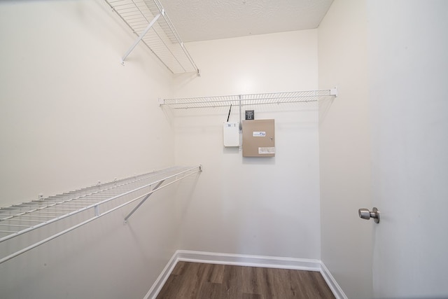 spacious closet with hardwood / wood-style flooring