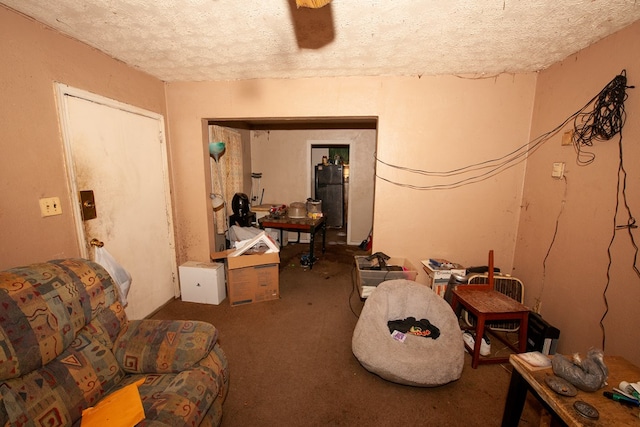 interior space featuring carpet floors and a textured ceiling