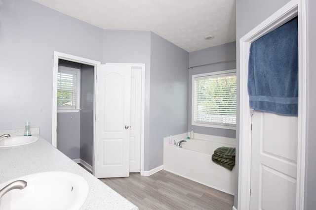 6074 White Pine Dr, Midland, GA 31820 - bathroom featuring wood finished floors, a bath, and double vanity