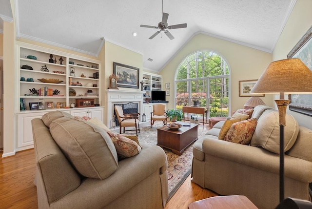 9011 Travelers Way, Midland, GA 31820 - living room with plenty of natural light, a warm lit fireplace, a ceiling fan, light wood-style flooring, and vaulted ceiling