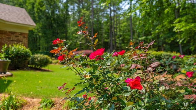 9011 Travelers Way, Midland, GA 31820 - view of green lawn