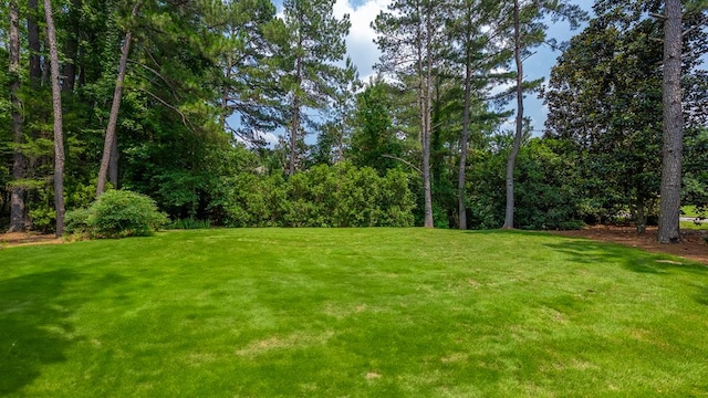 9011 Travelers Way, Midland, GA 31820 - view of green lawn