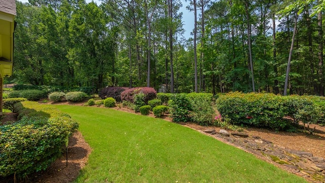 9011 Travelers Way, Midland, GA 31820 - view of grassy yard