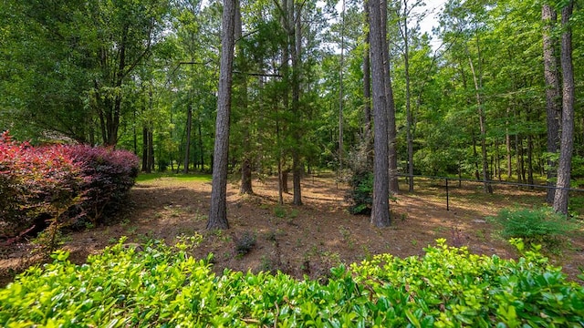9011 Travelers Way, Midland, GA 31820 - view of wooded area