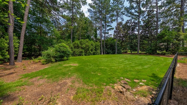 9011 Travelers Way, Midland, GA 31820 - view of yard