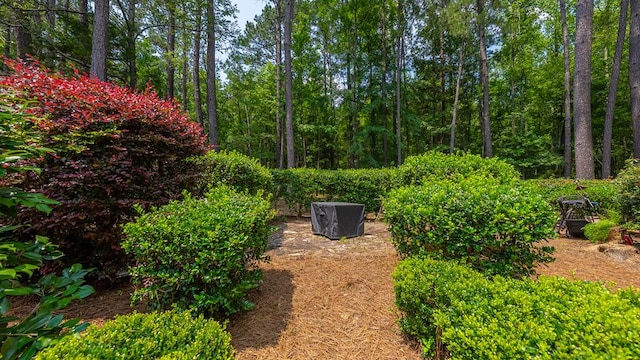 9011 Travelers Way, Midland, GA 31820 - view of yard
