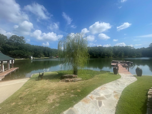 219 Broken Rock Rd, Hamilton, GA 31811 - water view with a heavily wooded area