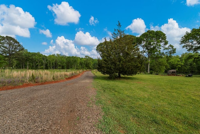 1540 Flint Hill Hwy, Shiloh, GA 31826 - photo 41