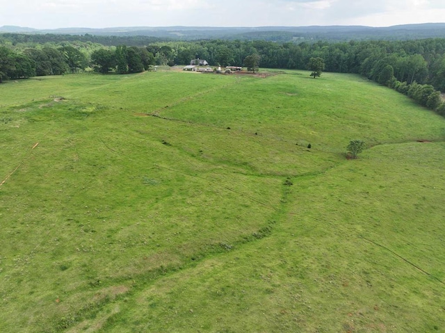 1540 Flint Hill Hwy, Shiloh, GA 31826 - photo 2
