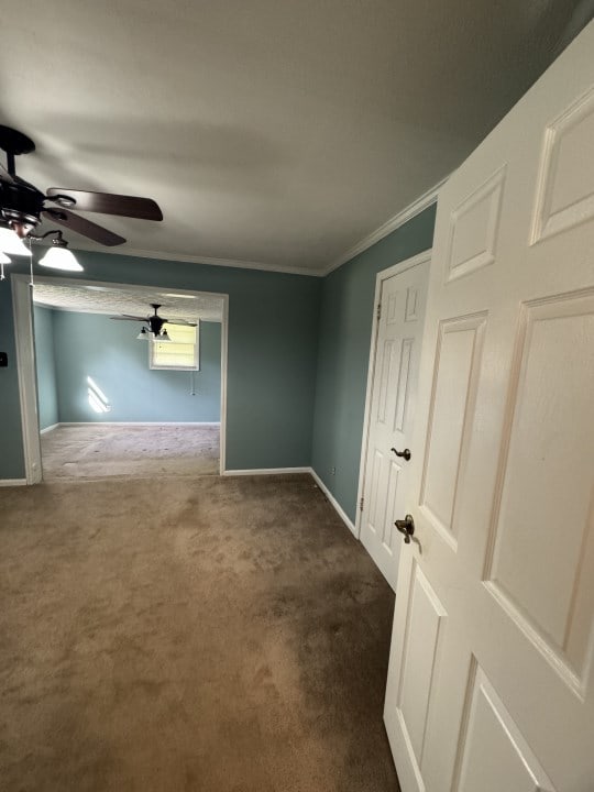 carpeted empty room with ceiling fan and crown molding