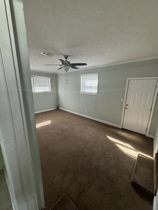 carpeted spare room with plenty of natural light and a textured ceiling